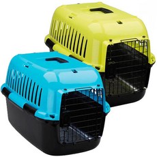 애견동반캠핑카