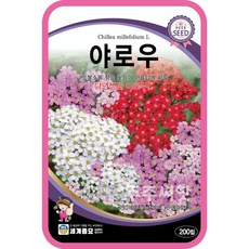야로우 씨앗 200립 서양톱풀 다년생 허브 꽃씨몰