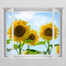 하늘그림시트지