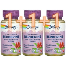  1+1+1 Solaray 솔라레리 베르베린 Berberine 500mg 베지 캡슐 60정 약들약 고약사 / 해외직구 미국정품, 3개 