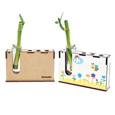 생명과학콩나물키우기