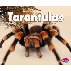 Tarantulas Library Binding, Capstone Press