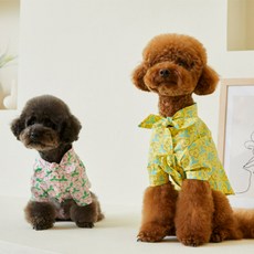 강아지명품 TOP01