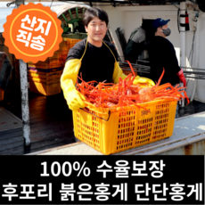 소래포구꽃게가격