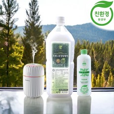 피톤치드 TOP01