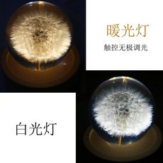 민들레 표본 유리구슬 단델리온 문진 크리스탈볼, 8CM 민들레 나무 상자 터치 충전