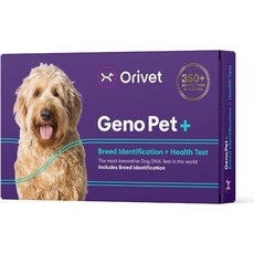 ORIVET Geno PET DNA 테스트 개 강아지 유전자 검사 생활 계획 GenoPet+, 1개 - 강아지유전자검사