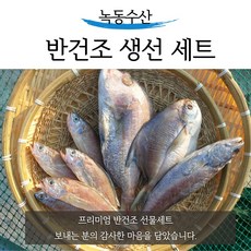 녹동문어