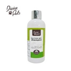 고양이코코넛오일