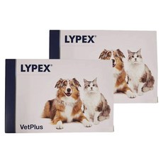 벳플러스 라이펙스 강아지 고양이 영양제 60개입, 2개, 면역력 강화