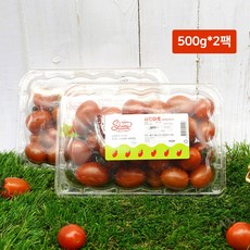 [공장직송] 스테비아 샤인마토 대추방울토마토 1kg (500g*2팩)