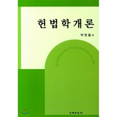 헌법학개론