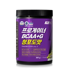 프로게이너 bcaa+g 청포도맛 아미노산 BCAA 글루타민 보충제, 1통, 300g