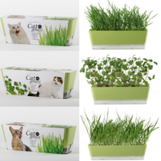 영수네캣그라스