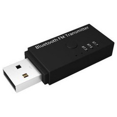 차량 자동차 블루투스 연결 USB FM 5.0 송수신기 범용 오디오 듀얼 출력 무선입체, 01 블루 5.0 치아 FM 송신기, 01 공식 규격.