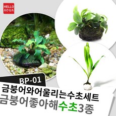 2c6d3d6a4de956e82de9b99110bc3b04918376ca9bc36cd96d098ab5d51d.jpg