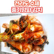 전라도 양파줄기 김치 2kg 3kg 5kg