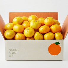 깨비농원 노지 감귤 4.5kg, 1박스, 조생 감귤 4.5kg 중대과