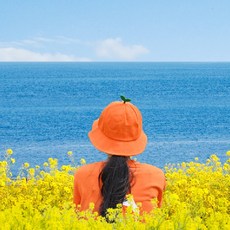 제주도감귤모자