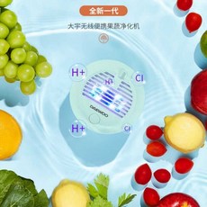대우과일세척