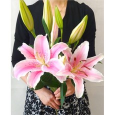 생화 TOP01