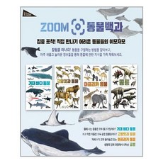 zoom동물백과거대바다동물