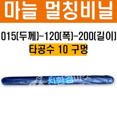 마늘유공비닐
