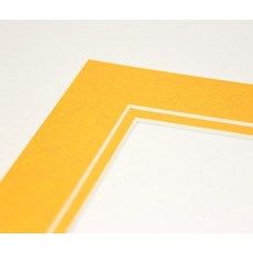 topseller100 10개 팩 주황색 11x14 사진 매트 8x10 사진용 흰색 코어 베벨 컷 포함 topseller100 Pack of 10 ORANGE 11x14 P