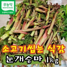 [국산/국내산] 강원도 홍천 눈개승마 생 삼나물 1kg 최고품질 눈개승마나물 신선한 생나물 산나물 봄나물 장아찌 무침 산지직송 노지재배