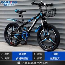 비싼자전거