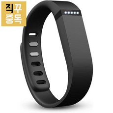 핏빗 플렉스 스마트 밴드 Fitbit Flex 블랙, 단품, 단품