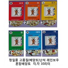 정일품 레인보우난석 1~5호 중-선택, 레인보우 주황-, 1개