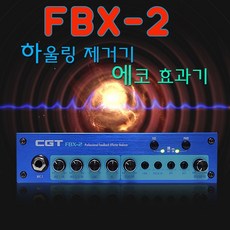 CGT 에코 참바 하울링 제거기