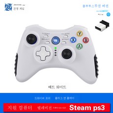 스팀2인용게임