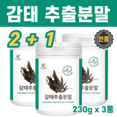 제주청춘이오란다