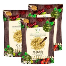 푸른들판 국내산 가평 잣 백잣, 100g, 3개