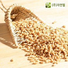 볶은피율무