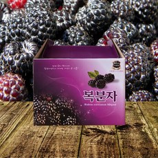 복분자즙 (기성박스)