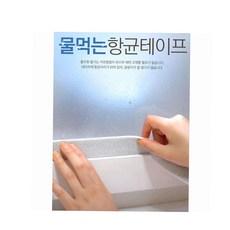 현관단열방화문