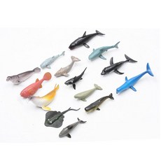 30개월아기교구