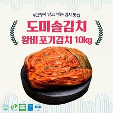 도미솔왕비포기김치