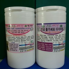 초록연꽃 네츄럴 연꽃 추출물+연꽃 줄기세포 디톡스 다이어트 셋트상품 환500g*2개 이지 클렌즈 팻다운, 1개, 700g