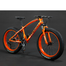 자이언트 풀샥 자전거 성인용 산악용 MTB, 30단, 24인치, 옵션18