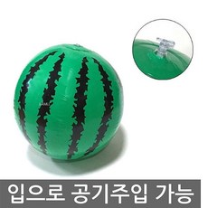 비치볼 수박모양, 1개, 복합색상