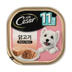 시저 11세이상 닭고기 캔 100g x 24개