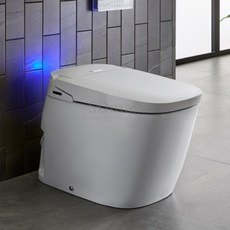 대림비데일체형변기