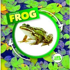 (영문도서) Life Cycle of a Frog Paperback, Kidhaven Publishing, English, 9781534526365