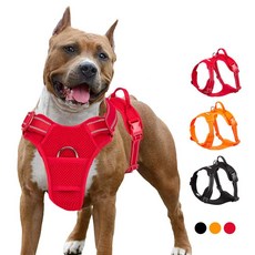 Truelove 애완 동물 강아지 하네스 통기성 메쉬 패딩, 1개, 02_red-01_XS 33-43cm Chest
