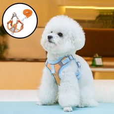 디아쿠아 강아지 고양이 겸용 야광 빛반사 심플 하네스+리드줄, 스카이오렌지