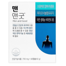 뉴진맨